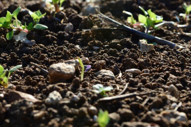 WhatsApp Image 2024-01-09 at 13.28.24 (1)